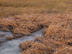 -野鸭湖国家湿地公园