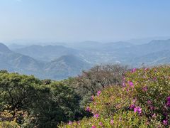 -广州市石门国家森林公园