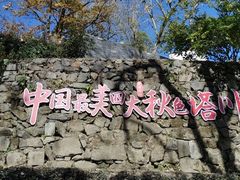 -塔川景区