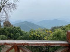 -莫干山风景区