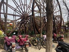 -呀路古热带植物园