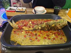 -川渝窈妹纸包鱼·齐齐哈尔烤肉