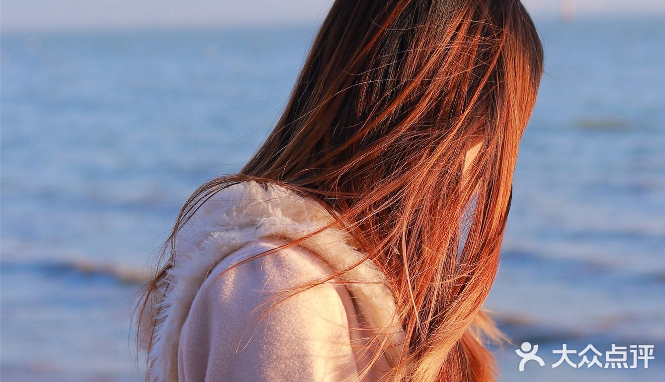 94深圳湾公园|放假一起来看海鸥吹海风吧