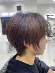 -FINE HAIR 烫染专业设计