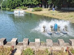 -滨湖塘西河公园