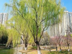 -白塘生态植物园
