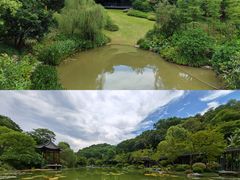 -云溪植物园