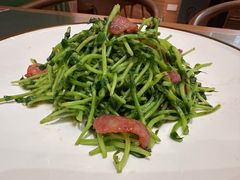 鸡油腊味炒豆苗-潮界(凯德晶萃店)