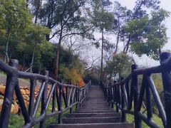 -平湖九龙山旅游度假区