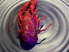 -红盔甲·小龙虾(定西路店)