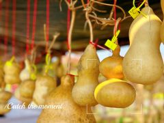 -汉长安城未央宫国家考古遗址公园