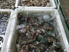 -石塘路海鲜市场(草厂中路店)