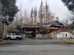 -青城甲(青城山店)