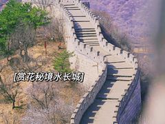 -沉浸北京·团建旅行·密室剧本杀·年会会议轰趴拓展