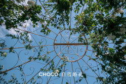 -CHOCO-启蔻婚礼(三亚公司)