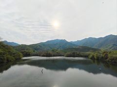 -龙坞茶村