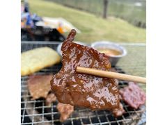 -王借岗森林公园