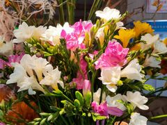 -春暖花开(西溪店)