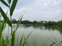 -苏州太湖国家湿地公园