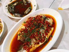 野生石斑鱼-丰收渔港饭店(嵊泗店)