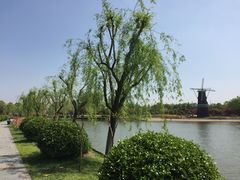 -上海鲜花港