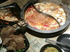 -销魂美蛙鱼头火锅(上海首店)