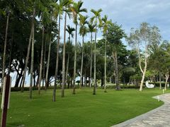 -三亚海棠湾万丽度假酒店