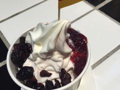 -JW德国冻酸奶Frozen Yogurt(龙湖成都滨江天街店)