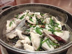 -国家五钻酒家·西樵旺阁渔村(西樵店)