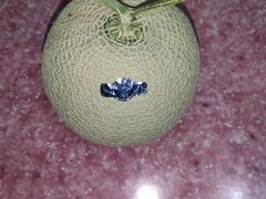-油麻地果栏