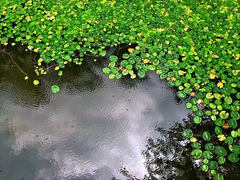 -东郊湿地公园