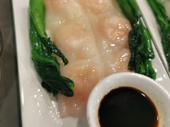 -金龙寨(龙城路店)