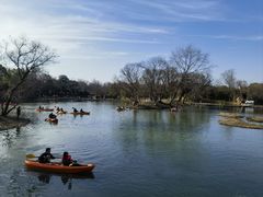 -西溪国家湿地公园