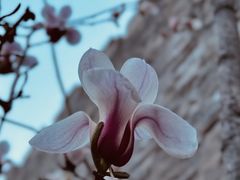 -东华门大街小区