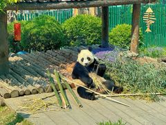 -大连森林动物园