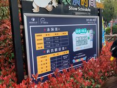-海合安武汉极地海洋公园