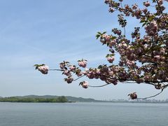 -浙江西子宾馆·瑶园咖啡厅