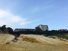 -枸杞岛
