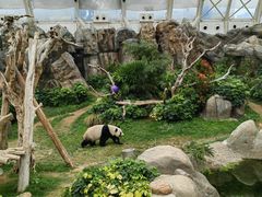 -香港海洋公园
