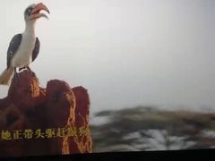 -乐天影城(威高广场店)