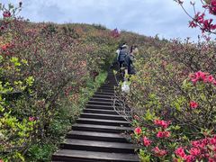-大围山国家森林公园