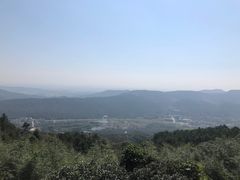 -冶父山国家森林公园