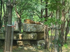 -秦皇岛野生动物园