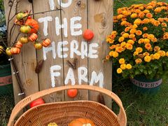 -HERRE·FARM 赫尔露营农场·团建聚会包场