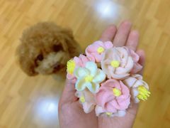 -BON CAKE(华贸购物中心店)