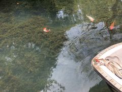 -兰溪地下长河