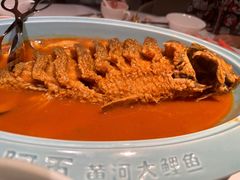 -阿五黄河大鲤鱼(英协路店)