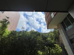 -香港大学