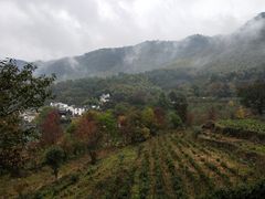 -塔川景区