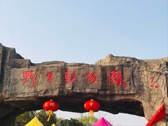 -合肥野生动物园